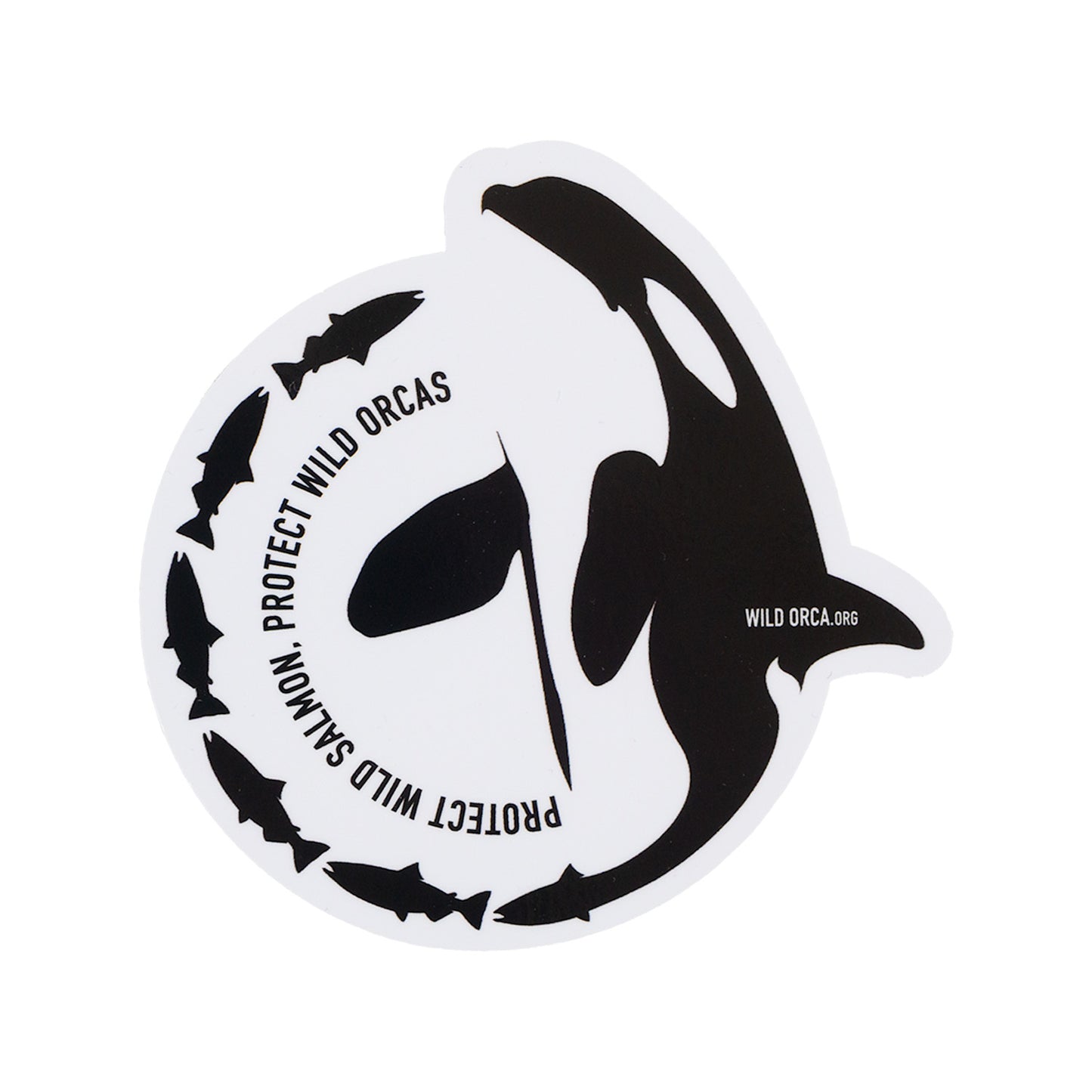 Orcas & Salmon Sticker